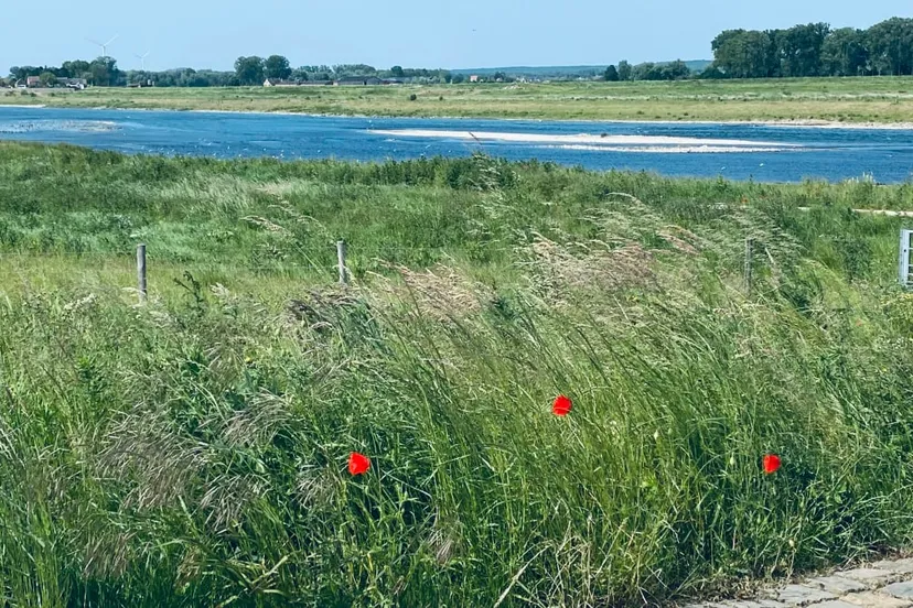 maas bij grevenbicht pinksteren 2023