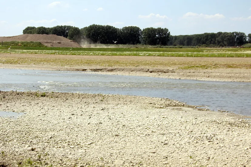 maas bij grevenbicht tijdens een droge zomer