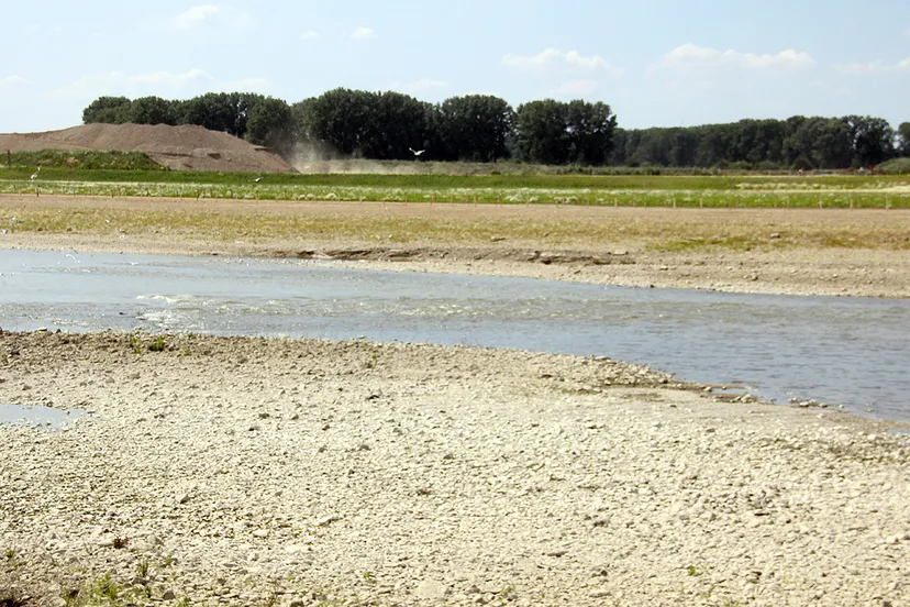 maas bij grevenbicht tijdens een droge zomer