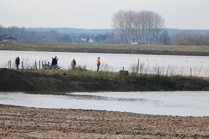 maas bij grevenbicht zondag 31 januari 2021