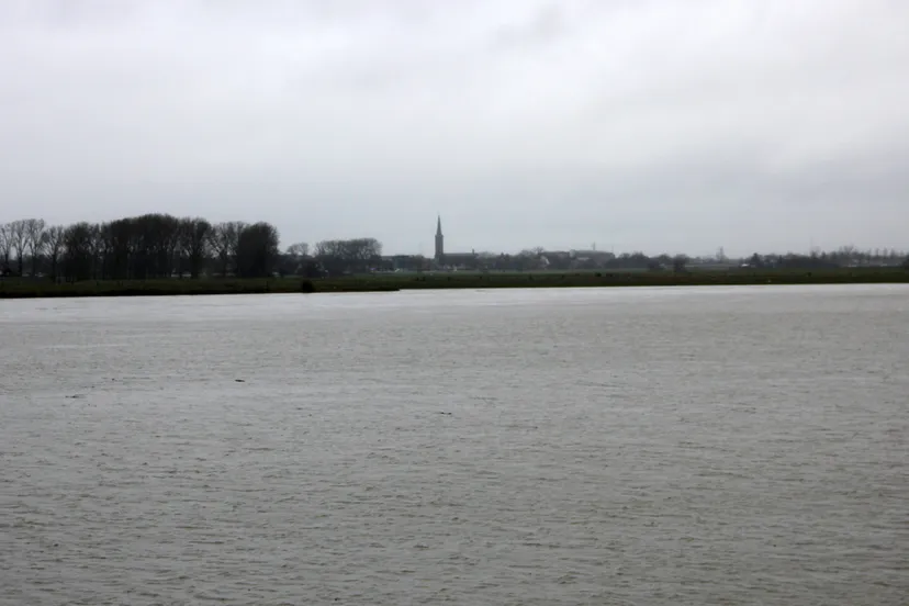 maas bij visserweert met zich op kerktoren maaseik januari 2017