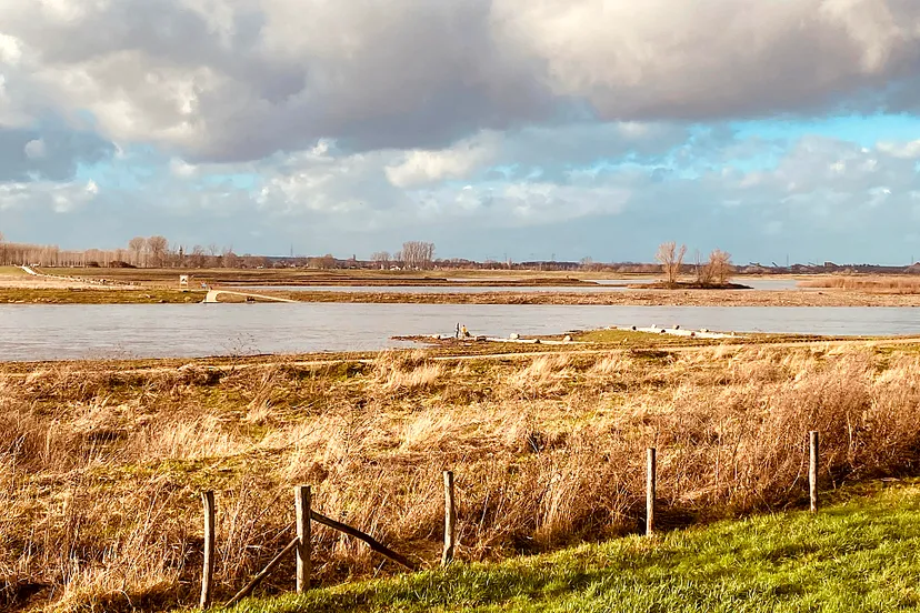 maas bij voetveer grevenbicht januari 2023