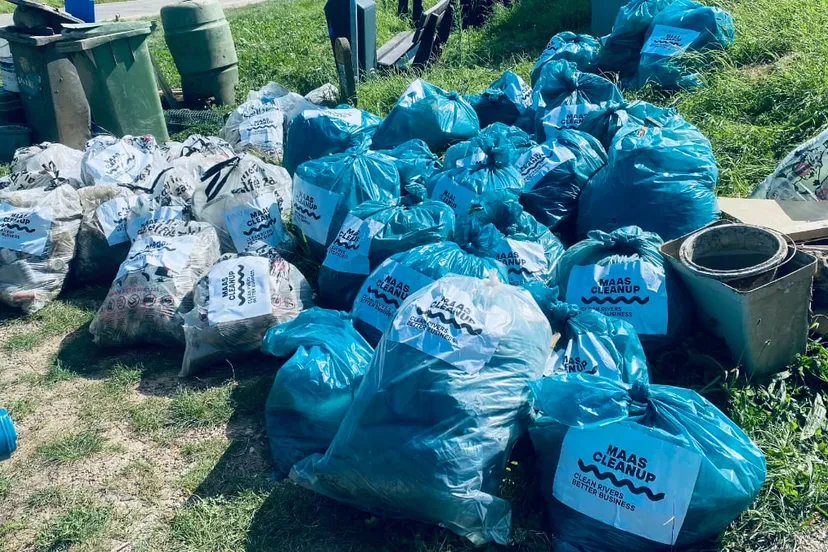 maas cleanup deel oogst bij dijk illikhoven