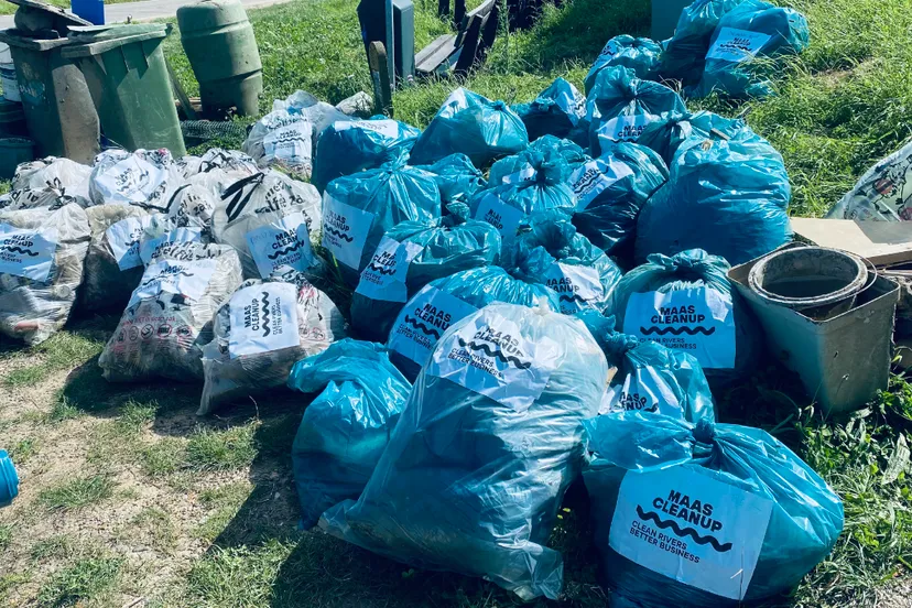maas cleanup deel oogst bij dijk illikhoven