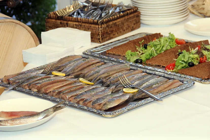 maatjestref 2015 maatjes