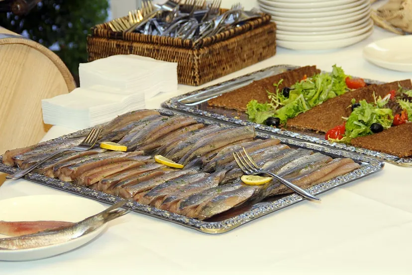 maatjestref maatjes hollandse nieuwe