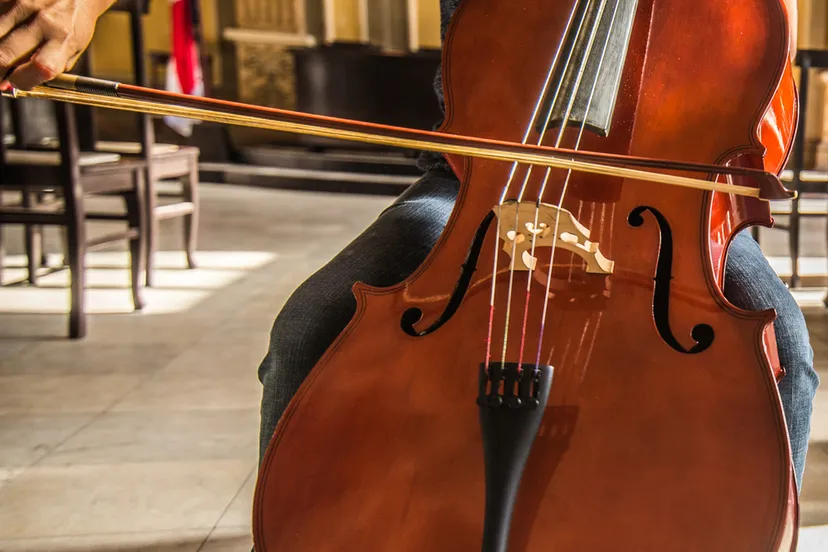 man speelt cello cellist