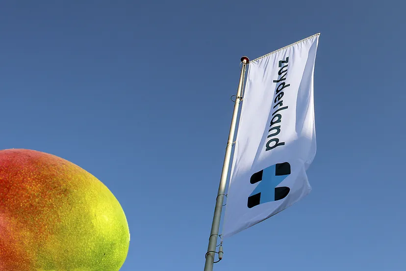 mangomoment zuyderland ziekenhuis