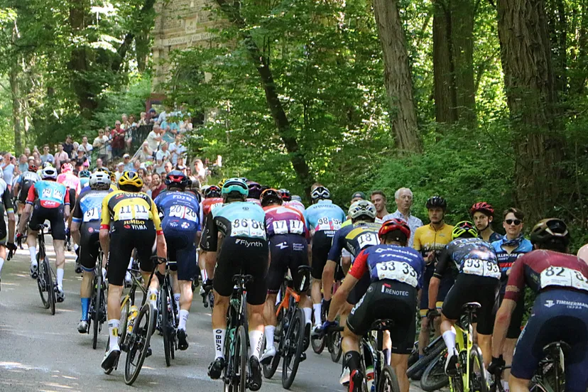 mannen profes kollenberg rosakapel