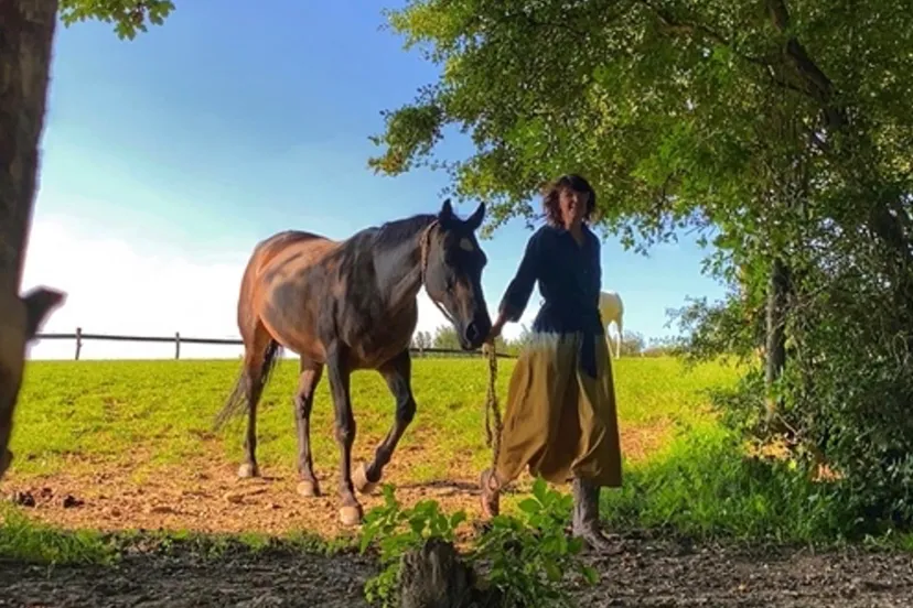 marie therese corbeij coaching met paarden