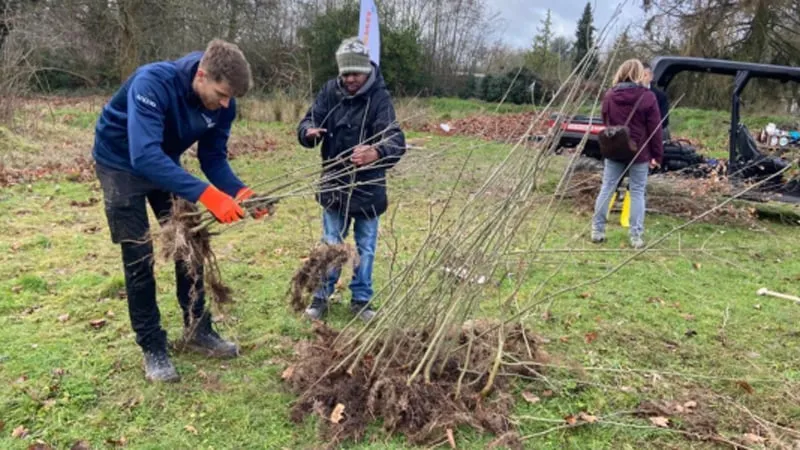 meer bomen nu zaailingen verplanten