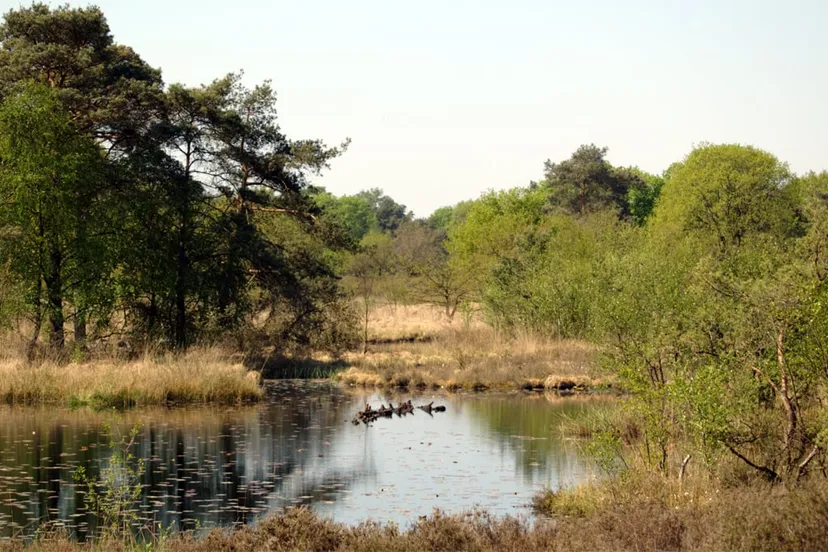 meinweg foto door alupus cc by sa 30