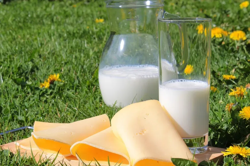 melk en kaas cc0 pixabay milk 1385548 1280