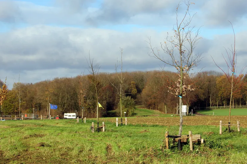 memoriebos 3 kollenberg 21 november 2015 2