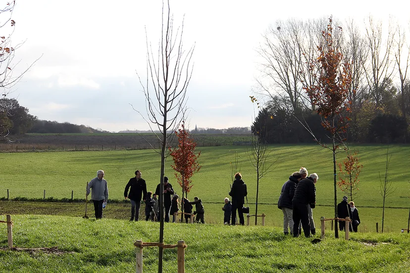 memoriebos 3 kollenberg 21 november 2015