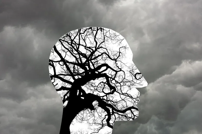 mental health 2313430 1280 geestelijke gezondheid