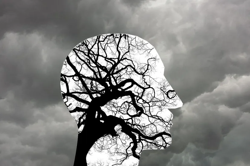 mental health 2313430 1280 geestelijke gezondheid