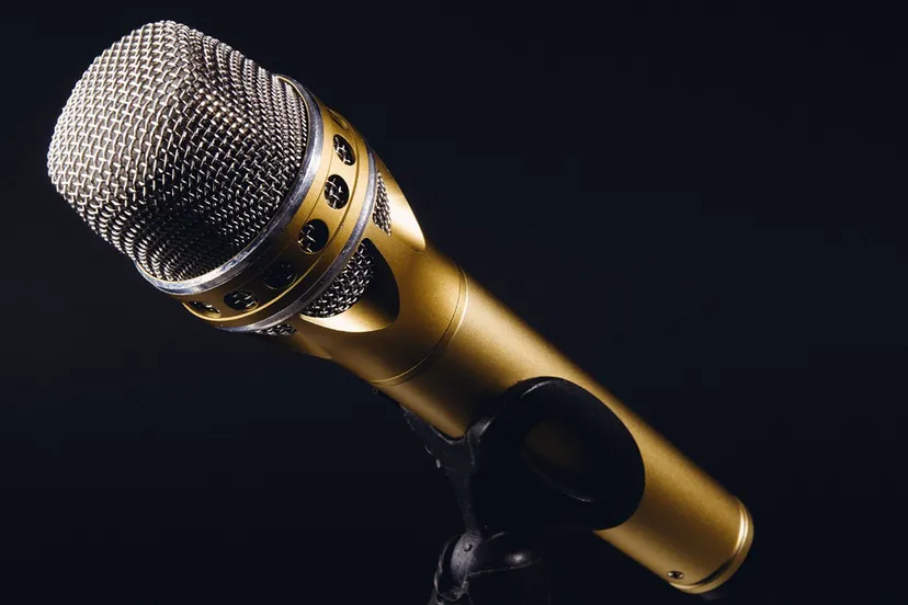 microphone 1246057 1280 microfoon