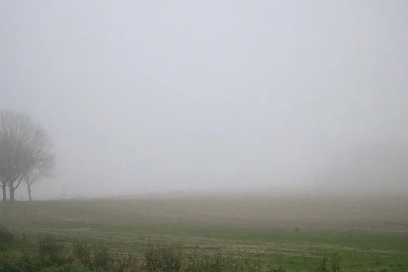 mist oudjaarsdag 2019 wintrakerberg munstergeleen