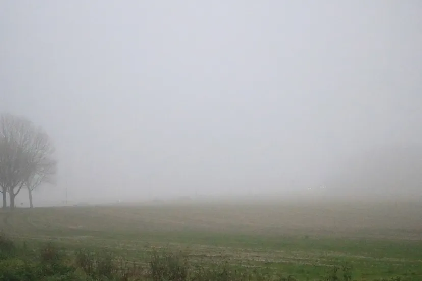 mist oudjaarsdag 2019 wintrakerberg munstergeleen