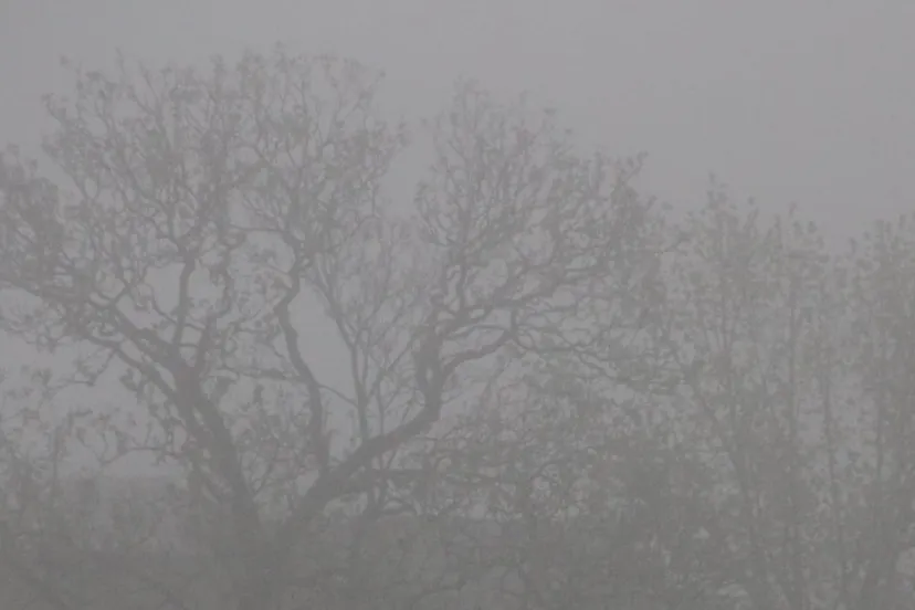 mist sittard geleen 3 april 2017