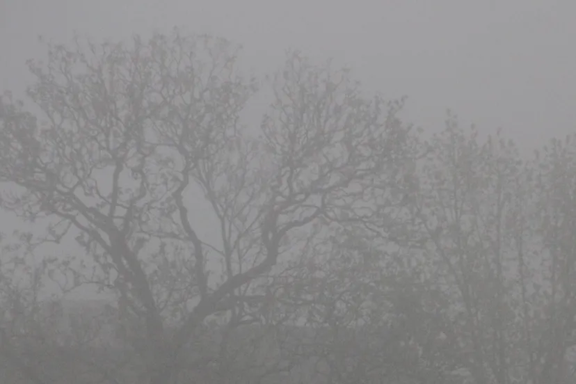 mist sittard geleen 3 april 2017