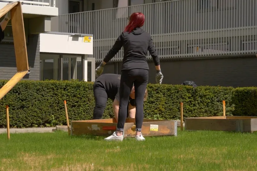 moestuinbakken van goyenstraat geleen