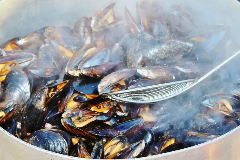 mosselen mossselavond mussels 638201 1280