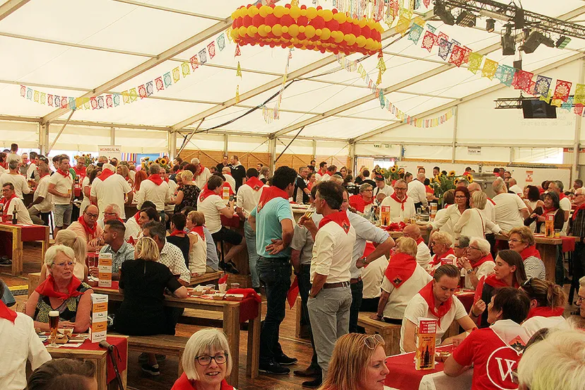 mp feesten fiesta mayor