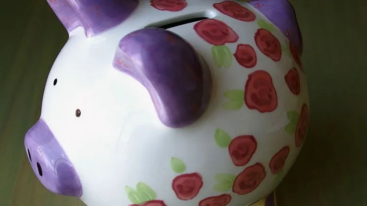 mpb3bf1apdzg1exdg87zhh8ev spaarpot