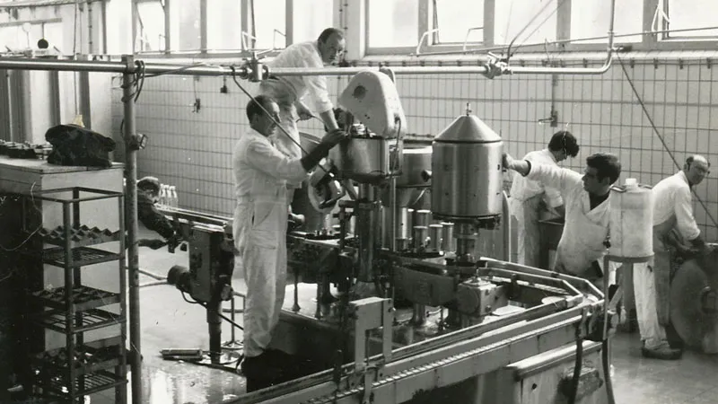 mrag2zbmqknnk08axg6xsxp96 melkfabriek sint rosa