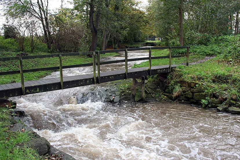 n5ox1n15y94az50h3ip8ci2ez beek bij overhoven na een dag regen 22 oktober 2014 tom bloem 16