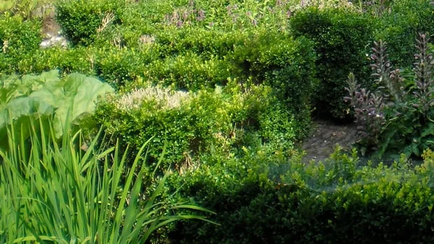 n6guwrc9n5gncbbj229bruiil kruidentuin