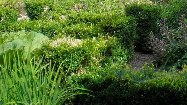 n6guwrc9n5gncbbj229bruiil kruidentuin