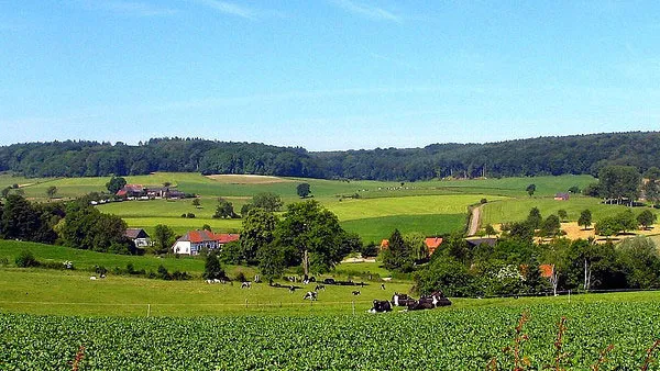 n7pgmdahbpnyvvxg5x3o9fh8x zuid limburg 16 9