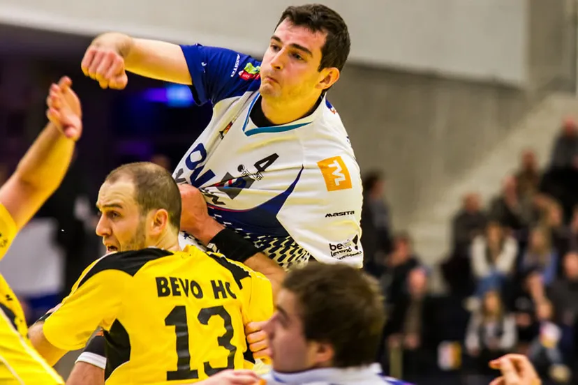 n7wuraphic84vvntxz4f9ey09 lions 26x