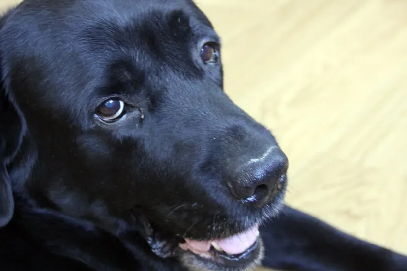 n842ez1qb0q0pd3ydikv03s7o bodie3