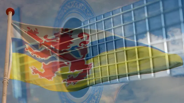nach van t limburgs leed vlag en gitaar
