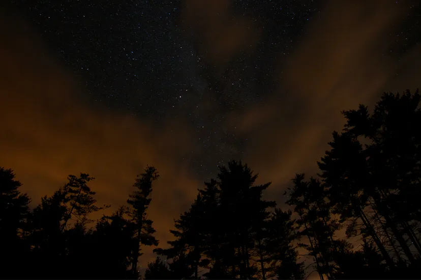 nacht nacht van de nacht donker