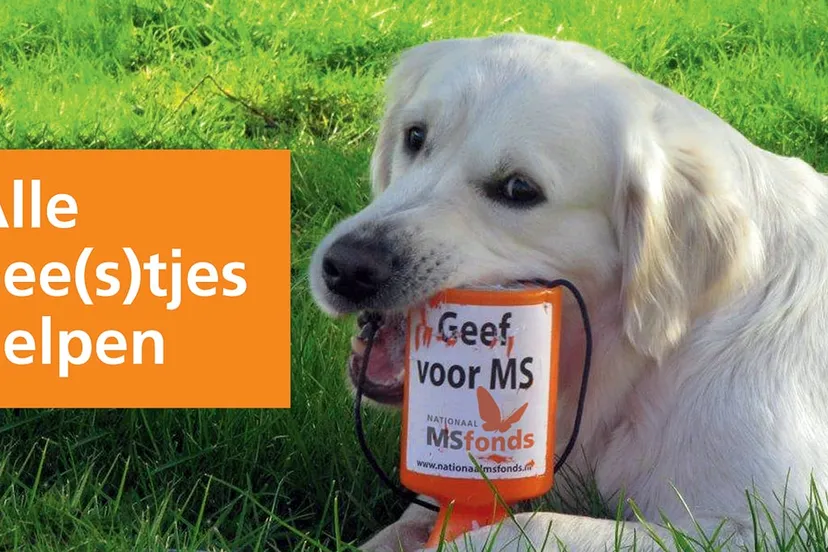 nationaal ms fonds