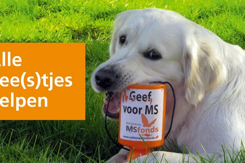 nationaal ms fonds collecte