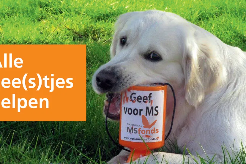 nationaal ms fonds