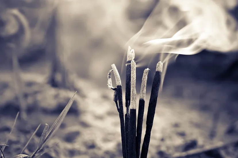 natuurbrand cc0 devanath via pixabay