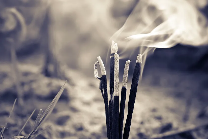 natuurbrand cc0 devanath via pixabay