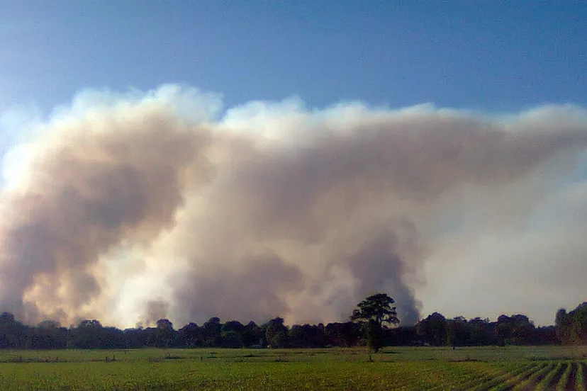 natuurbrand mrfingers cc by sa 30 via wikimedia commons