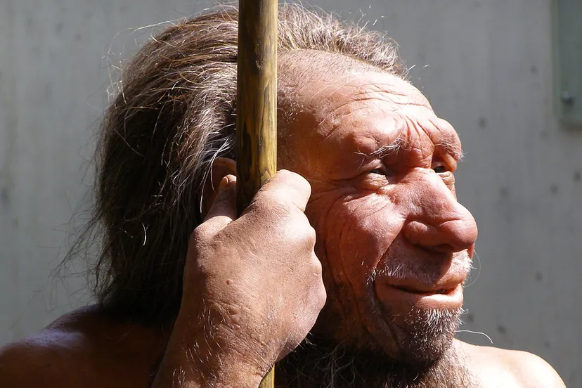 neanderthaler erich ferdinand cc by 20