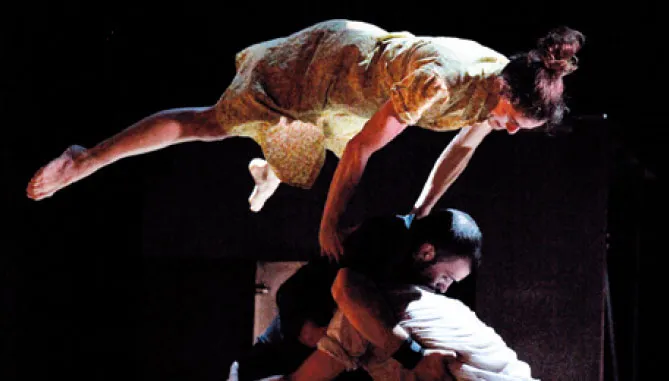 nederlands acrobatiekfestival