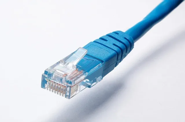 netwerk kabel internet network cable 2245837 640