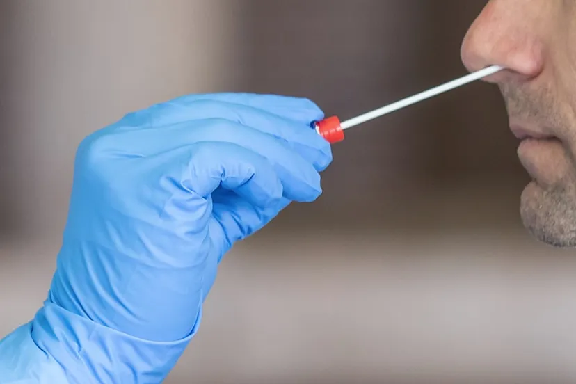 neusslijmafname voor coronatest raimond spekking cc by sa 40 via wikimedia commons