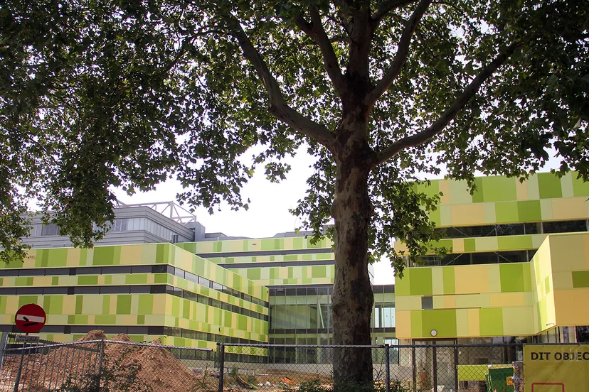 nieuwbouw dacapo havikstraat sittard